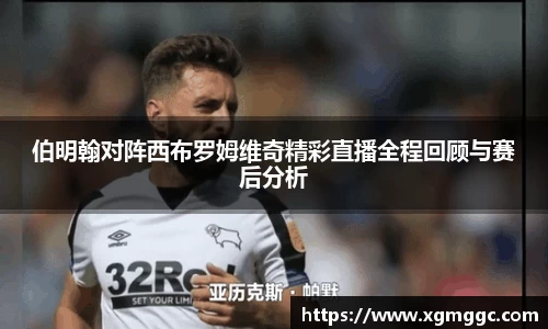哈哈哈体育