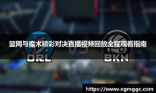 哈哈哈体育